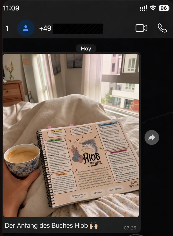 Kundenstimme per WhatsApp
